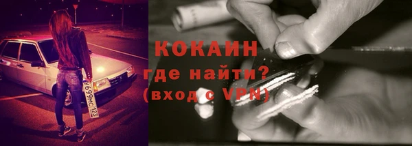 шишки Алзамай