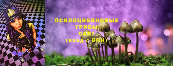 ГАЛЛЮЦИНОГЕННЫЕ ГРИБЫ Алексин