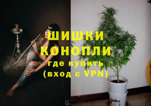 шишки Алзамай